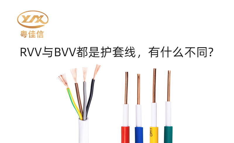 RVV與BVV都是護套線，有什么不同